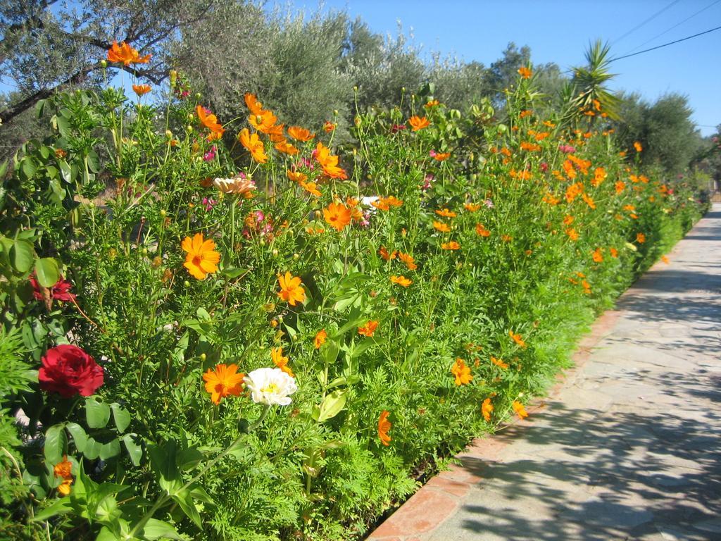 Ktima Ellopia * Kolymbia