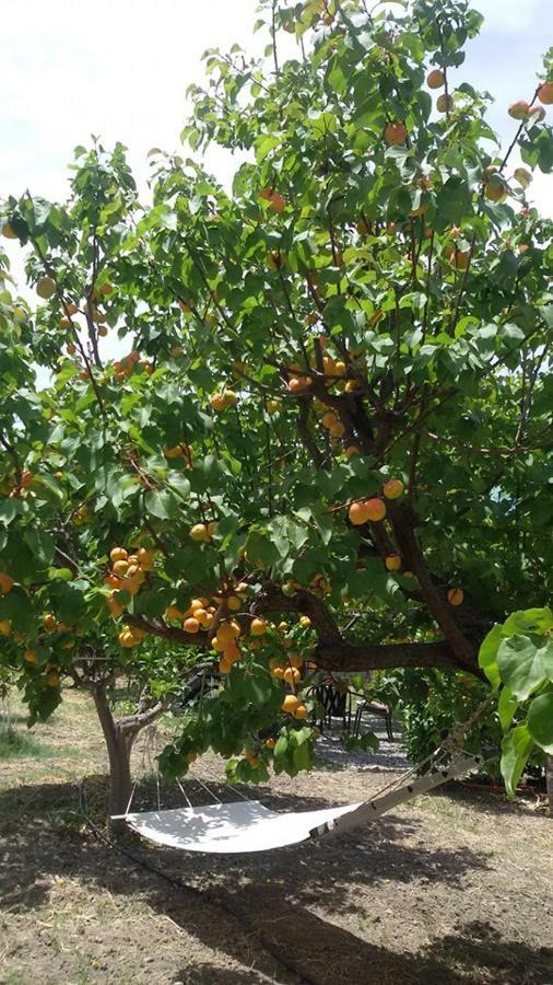 Ktima Ellopia *