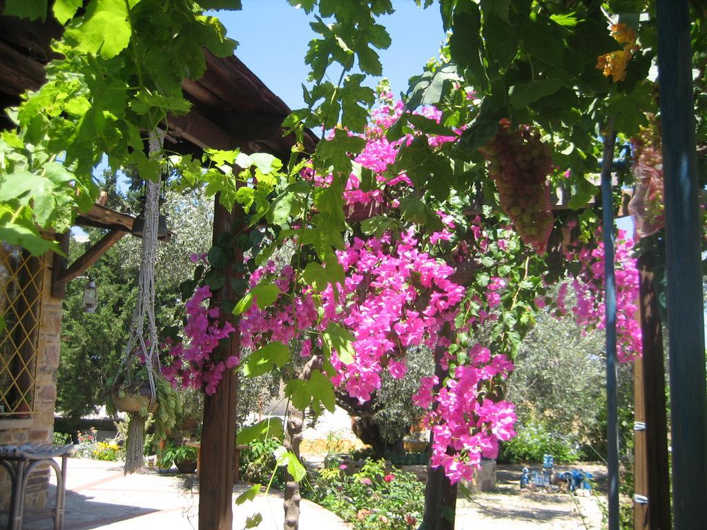 Ferienhaus Ktima Ellopia *