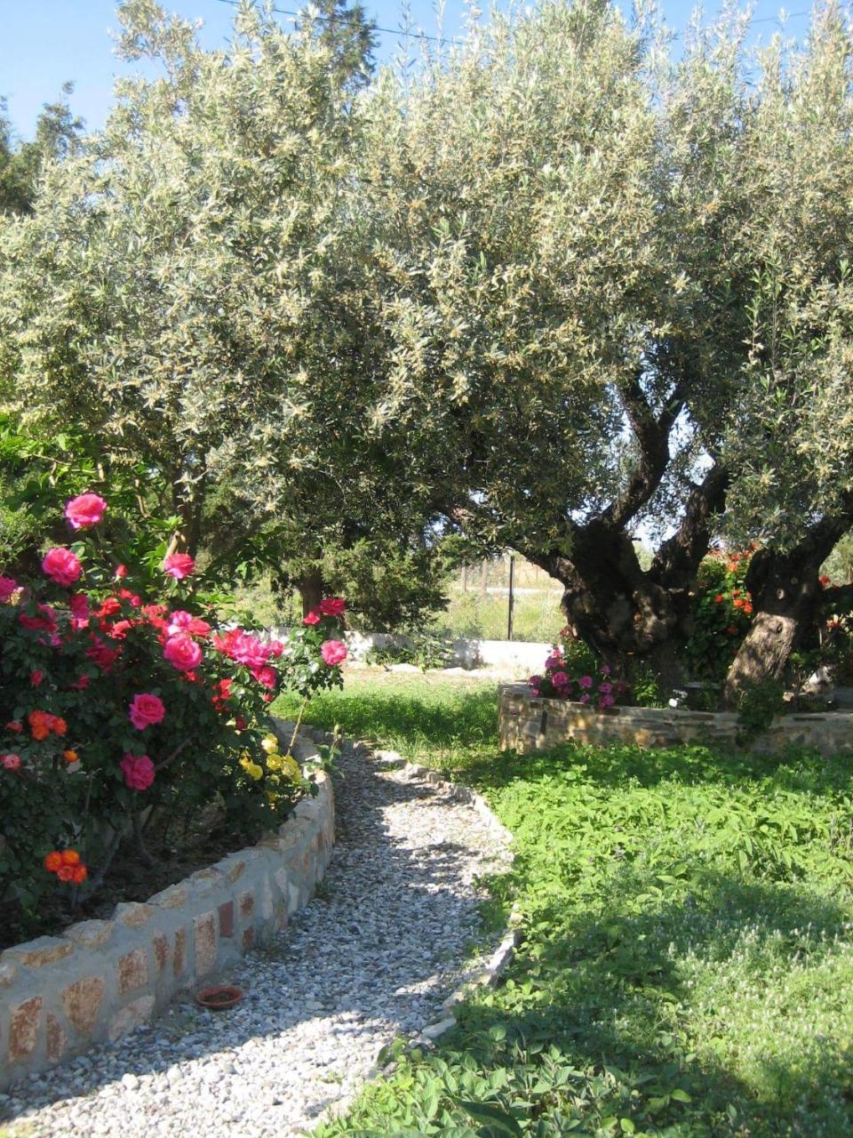 Ktima Ellopia Kolymbia