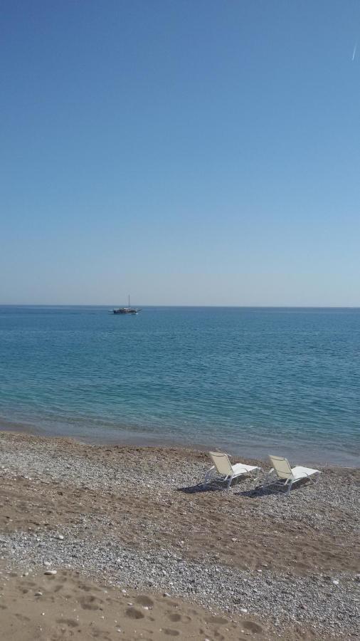 Ktima Ellopia *